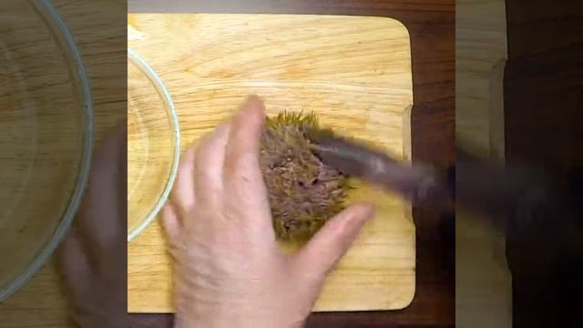 thumb-Еж морской живой Мурманский 1шт-4}