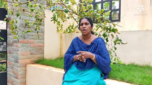 ബേർ ആപ്പിൾ - ഇലന്ത പഴം | Ber Apple | Chinese Dates | Malayalam смотреть онлайн