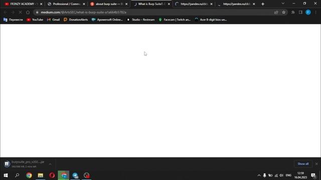 Windows ga Burp Suite Professional ni yuklab olish смотреть онлайн