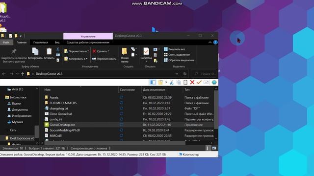 Desktop Goose смотреть онлайн