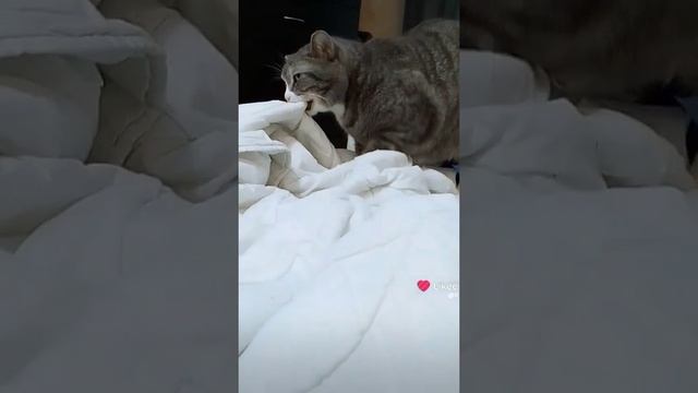 среди зомбаков. смотреть онлайн