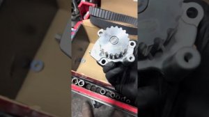 seat alhambra 2.0 diesel 2013 ￼ timing belt replace & fuel service