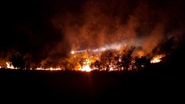 Пожар в Таганроге. Горит посадка. 20.08.17. смотреть онлайн