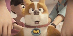 Корги по имени Моко. Простые истории, 118 серия. И что делать?