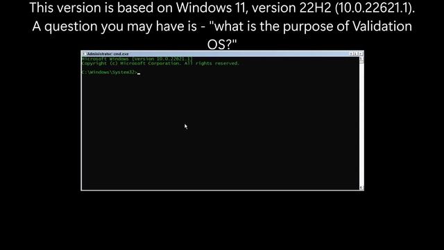 Taking a look at Windows Validation OS смотреть онлайн