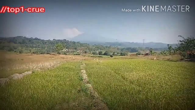 Offroad sumedang Jabar смотреть онлайн
