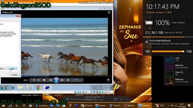 Windows 7 Sample Video has BSOD VM (Windows 7 Ultimate HP OEM) смотреть онлайн