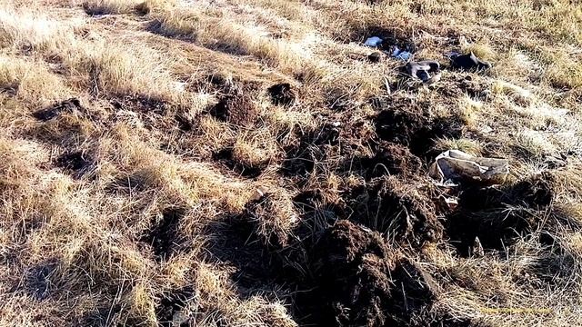 Продолжаю На Том же Месте,Искать Металлолом. смотреть онлайн