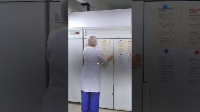 А у вас есть контрольные термометры в холодильниках? #общепит #санпин #хассп смотреть онлайн