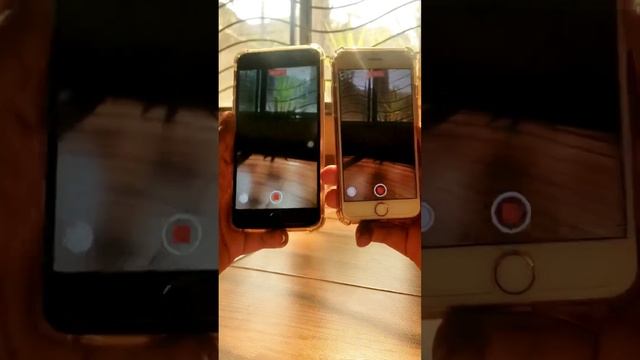 iPhone 7 Vs iPhone 6s Plus CAMERA In 2024 смотреть онлайн