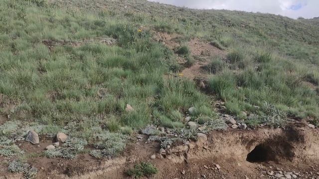 Astore to Skardu via Deosai PART-2 | Bara Pani | Chota Pani | Deosai Top | Travel Guide смотреть онлайн