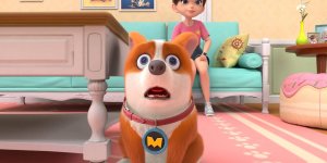 Корги по имени Моко. Простые истории, 43 серия. Одинокий пёс