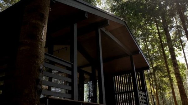 Ambient Park Istra - Октябрь 2024