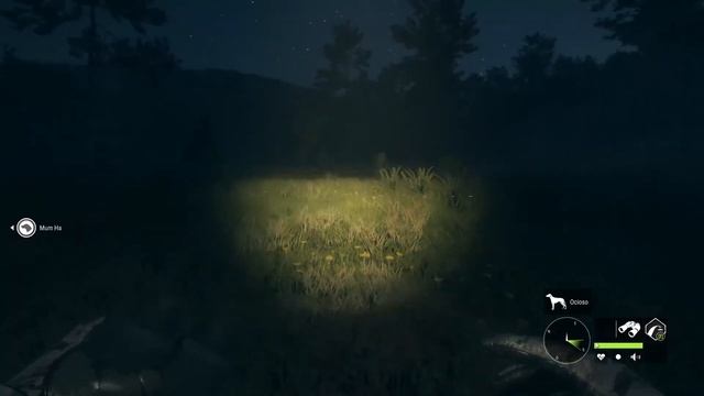 shooting down Legendary with Hudzik Sol Cal.50³ смотреть онлайн