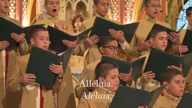 Regina Caeli | D Pedro de Cristo смотреть онлайн