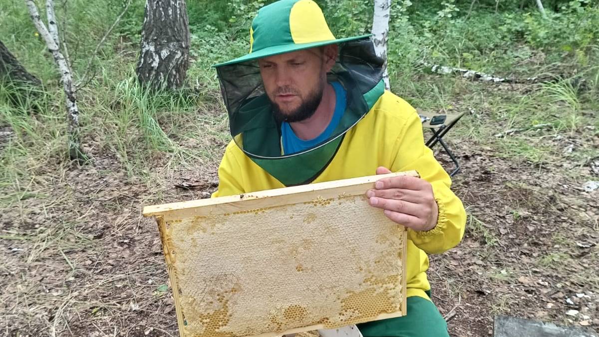 Мед и цифровые технологии