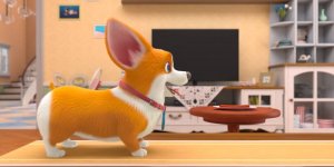 Корги по имени Моко. Простые истории, 57 серия. Угадай карту