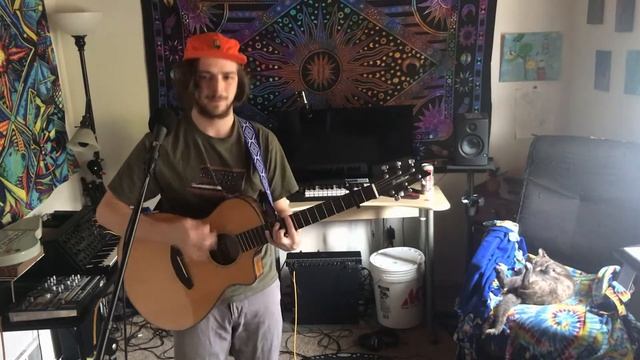 Ode to Viceroy - Mac DeMarco-Acoustic cover (feat. Linky the Cat) смотреть онлайн