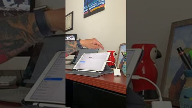 SUNTRSI Sd Card Reader for iPhone iPad Camera,Dual Card Slot Memory Card Reader Supports SD and TF смотреть онлайн