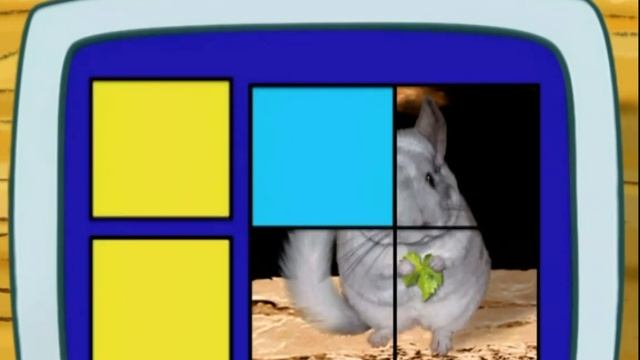 Go Diego go chinchilla let’s review смотреть онлайн