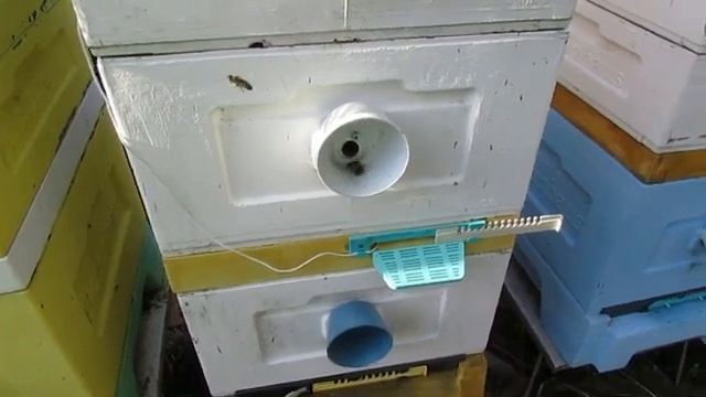 апрель на пасеке, ошибки, которые могут привести к болезни пчел, плохому весеннему развитию, часть смотреть онлайн