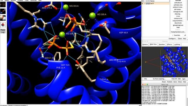 UCSF Chimera Tutorials