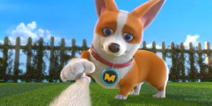 Корги по имени Моко. Домашние животные 2, 64 серия. Кто милее?