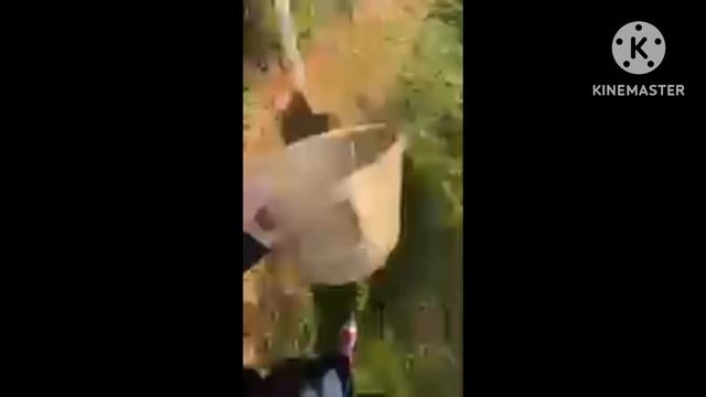 Sprinkle Sisters Go Apple Picking! (With Sorbet Summer)