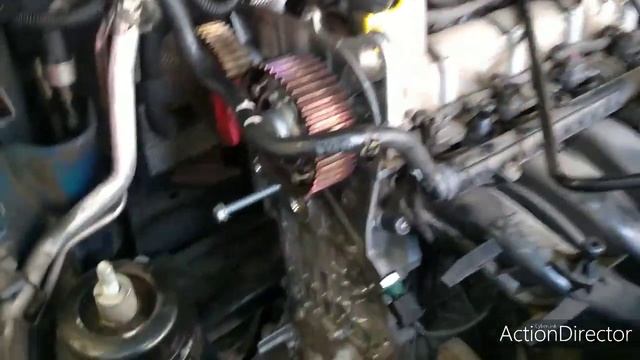 SEAT Toledo. cambio banda de distribución!! смотреть онлайн