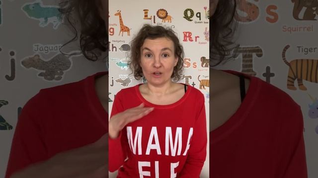 Student Registry Advent Calendar - Window 12 смотреть онлайн