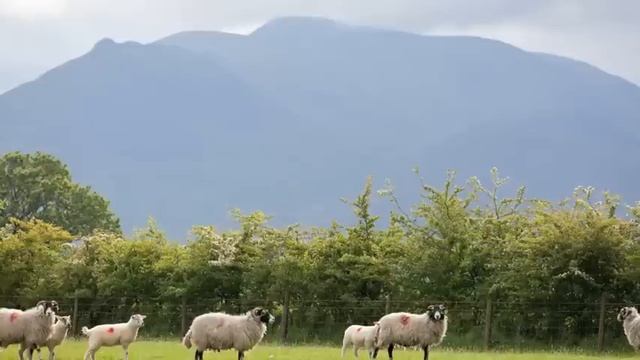 A Book of Britain: The Lore, Landscape and Heritage of a Treasured Countryside by Jonny Scott смотреть онлайн