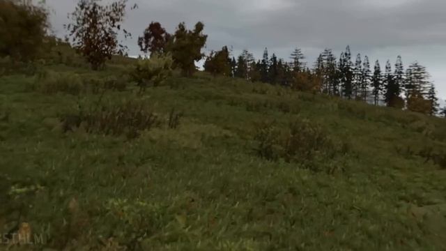 DayZ ArmA2 laptop test 1 toshiba l670 14m смотреть онлайн