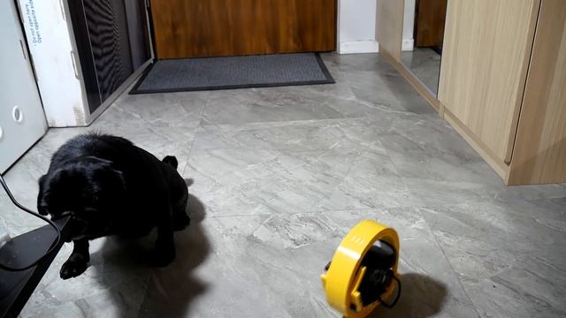 Lego RC Monowheel steered using torque effect смотреть онлайн