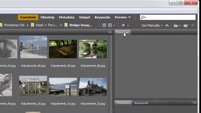 Photoshop CC Tutorials For Beginners: Adobe Bridge смотреть онлайн