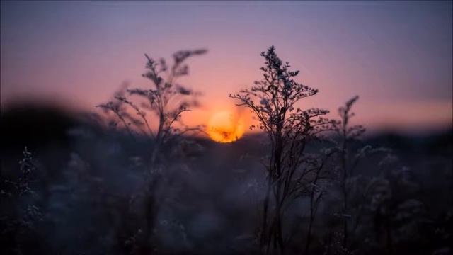 Sean Mackey - Sundown смотреть онлайн