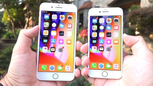 Apple iPhone 8 vs 8 Plus Unboxing & Review All Colors смотреть онлайн
