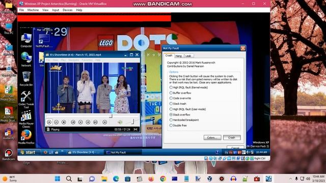 Windows XP BSOD 722 (2023) смотреть онлайн