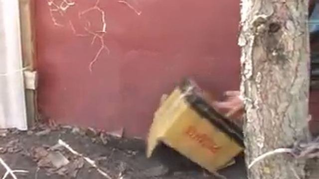 Бабёр. г. Павловск Воронежской обл. смотреть онлайн