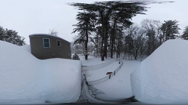 Samsung Gear 360: Back yard after some snow смотреть онлайн