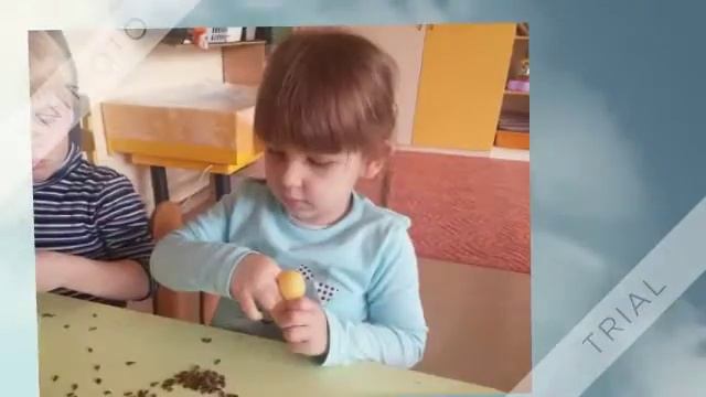 Musical instrument from the apple seeds смотреть онлайн
