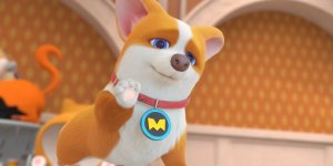 Корги по имени Моко. Домашние животные 2, 58 серия. Поешь ничего