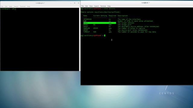 DoS Attack Using kali Linux and Metasploit смотреть онлайн