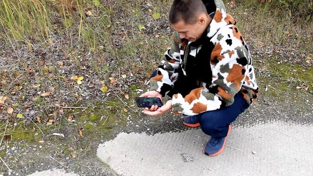 реклама Iphone13)