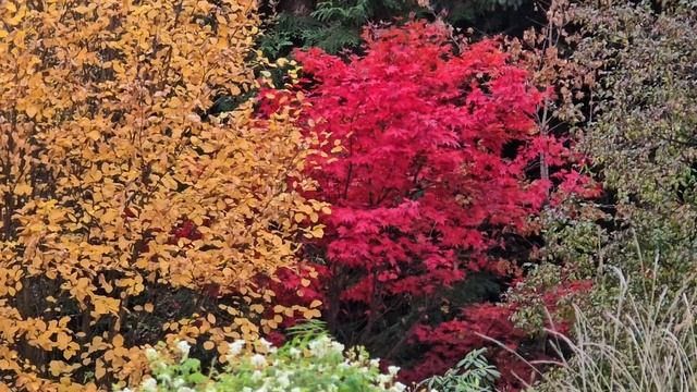 Осень только взялась за работу смотреть онлайн