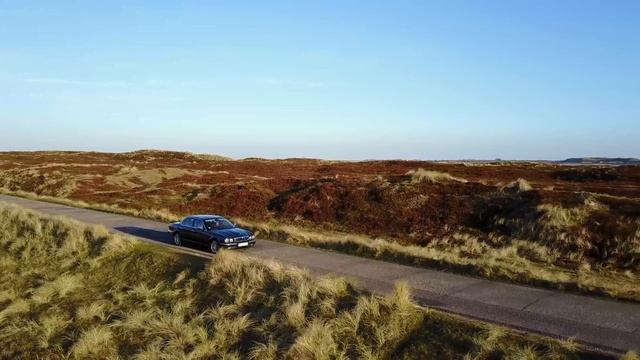 JAGUAR | FREE FOOTAGE NO COPYRIGHT | VIDEO LIBRARY | 4K | HD | 2020 смотреть онлайн
