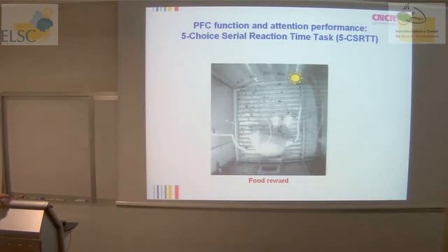 ELSC-ICNC Seminar - Huib Mansvelder смотреть онлайн