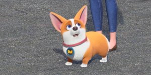 Корги по имени Моко. Простые истории, 122 серия. Как мама вдохновляет 