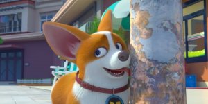 Корги по имени Моко. Простые истории, 63 серия. Зимняя неприятность