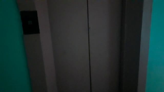ЩЛЗ 2000, Q=400 кг, V=1м/с, по адресу: ул. Гаражная 187, подъезд 1 смотреть онлайн