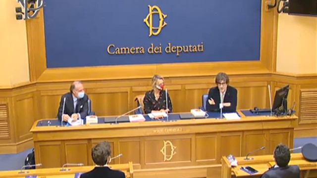 UGO PIRRO. Donata Carelli. Conferenza stampa Camera dei deputati смотреть онлайн